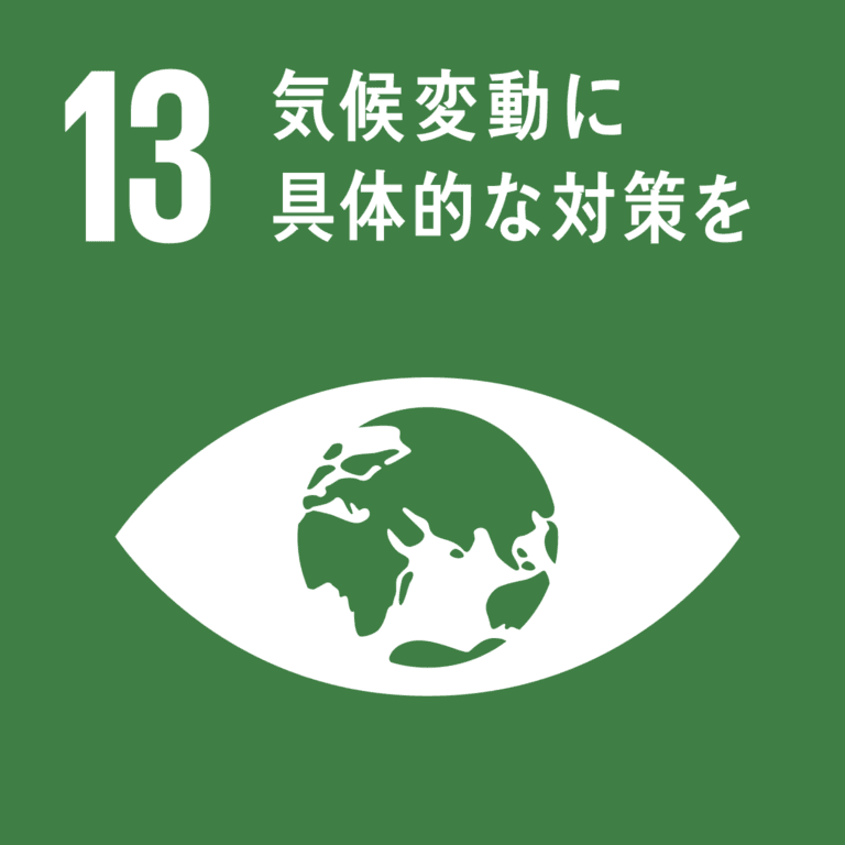 sdg-13