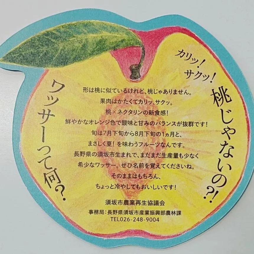 長野県須坂市の企業版ふるさと納税 | 須坂市発祥のワッサーのブランド