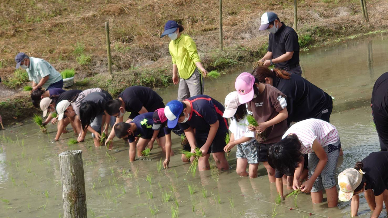 田植えをする人々の様子