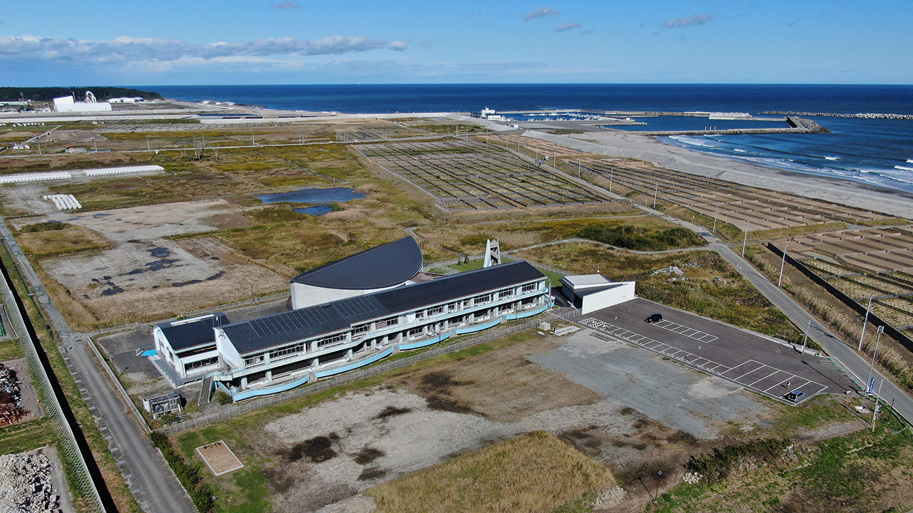 海岸線と建築物の上空からの様子