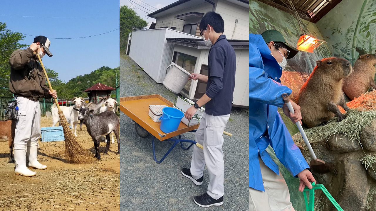 動物の世話をする飼育員達の様子