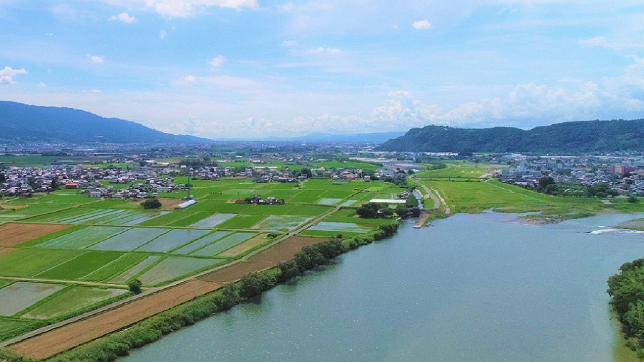田んぼと川