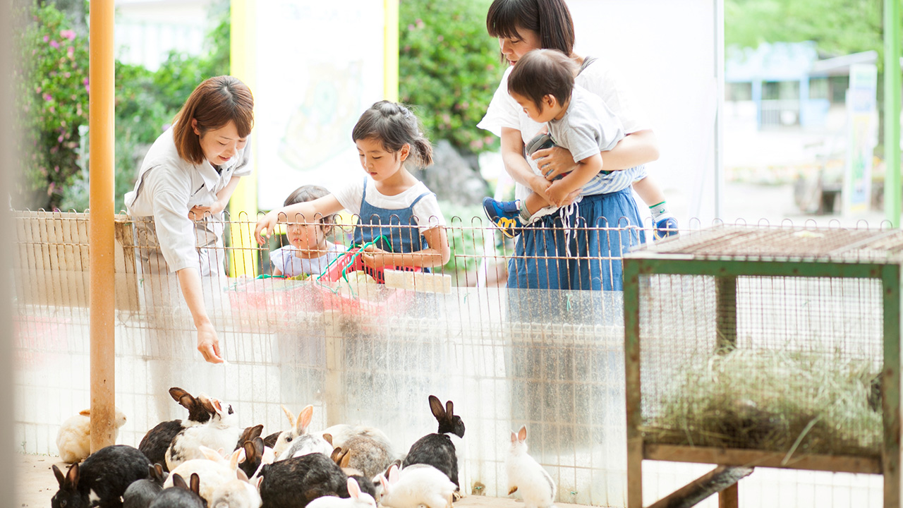 うさぎに餌を与える親子