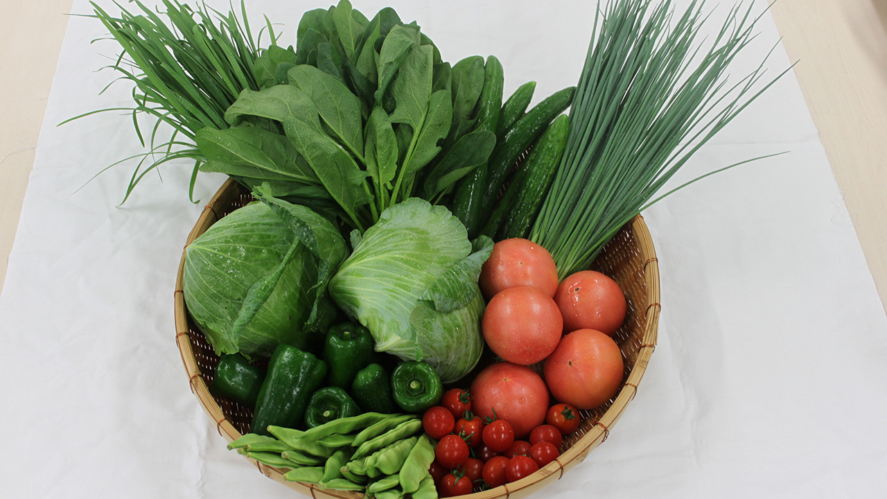 収穫した新鮮な野菜たち