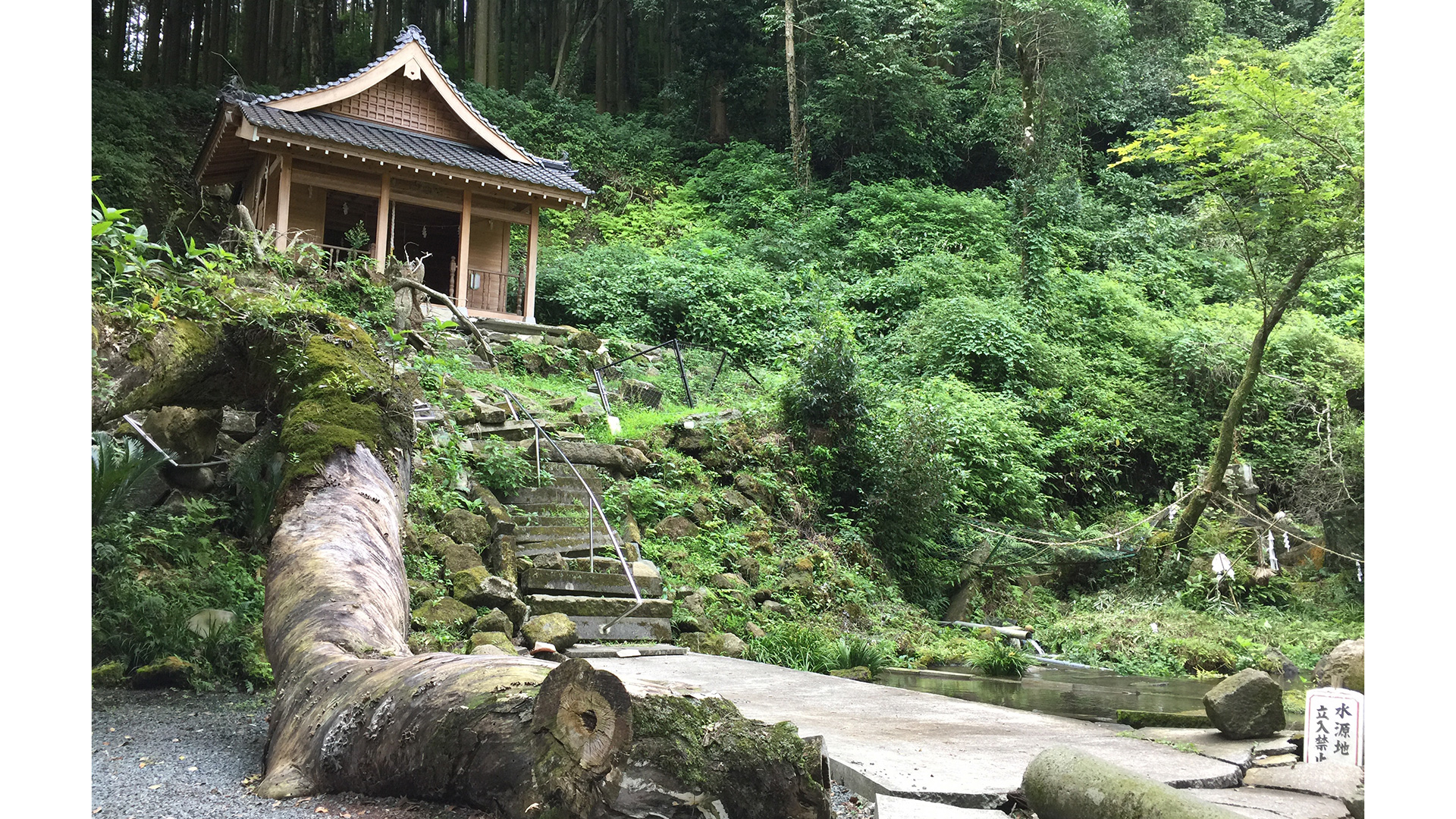 天災被害の様子
