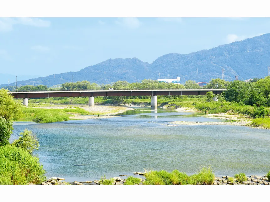 滋賀県湖南市の企業版ふるさと納税 | 若者主体のまちづくり「こなん