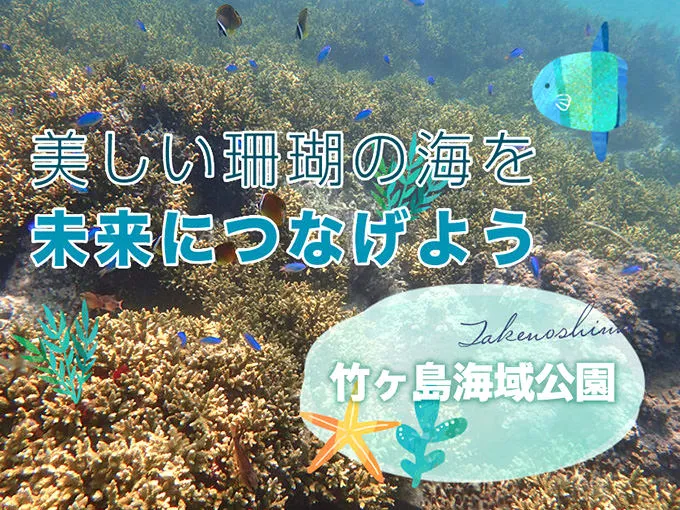 印象のデザイン 天然 大樹形 日本産＝海サンゴ置物＝ピンク色=四国産